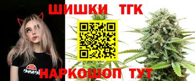 стаф Волгодонск